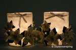 Patroonblad kerststerlichtjes