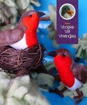 Magazine Vogels