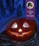 Pakket Halloween pompoen
