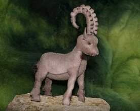 Pakket Steenbok