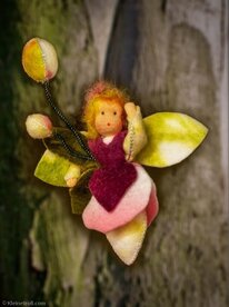 Pakket Orchiede&euml;nelf