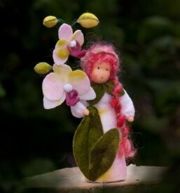 Pakket Orchideekind