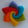 Pakket Regenboogbloem helder