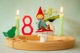 Pakket Paddenstoel steker