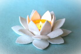 Pakket Lotus lichtje