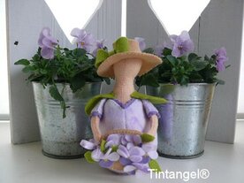 Pakket Zomerdroom viooltje