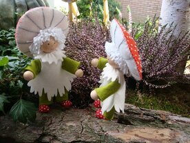 Paddestoel kabouter.