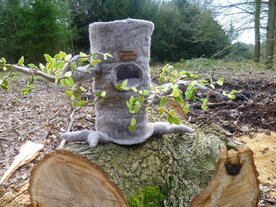 De boom van Familie Eekhoorn