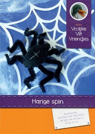 Pakket Harige spin