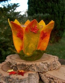 Pakket Herfstlichtje 