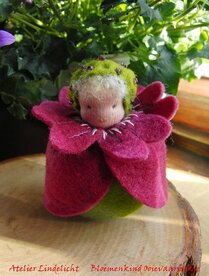 Pakket Bloemenkindje Ooievaarsbek