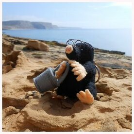 Pakket  Herfst tegemoet mol als sleutelhanger 