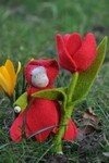 Pakket Tulp kleuter