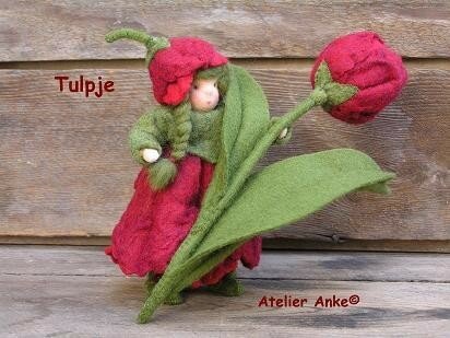 pakket Tulpje