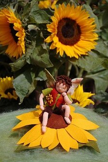 Pakket Zonnebloemelf