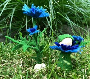 Pakket Korenbloem