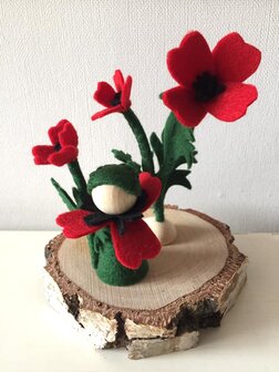 Pakket Klaproos