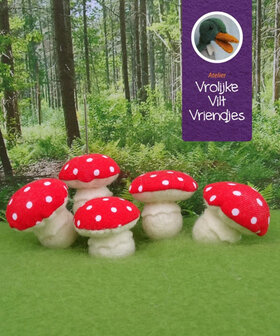Pakket Paddenstoelbolletjes