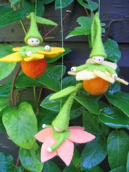 Pakket Narcisbolletjes