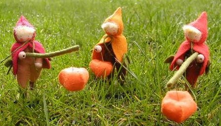 Pakket Lampionnenoptocht 