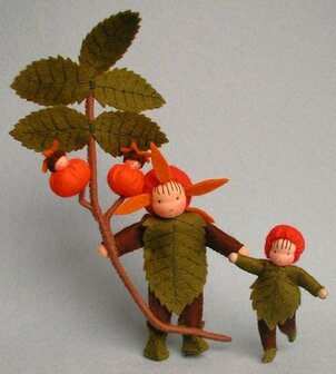 Pakket Rozenbottel
