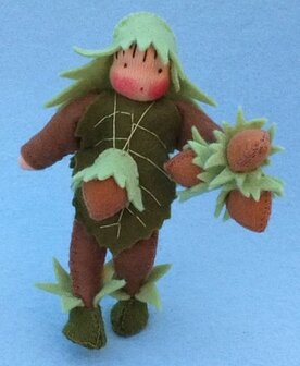 pakket Hazelnootje
