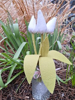 Pakket Tulpen wit