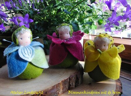 Pakket Bloemenkinderen uit de berm