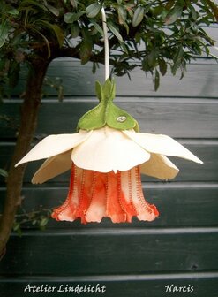 Pakket Seizoenlampje Narcis