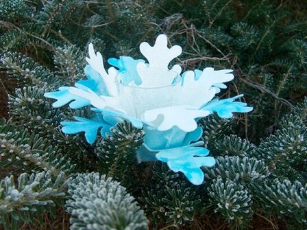 Pakket Sneeuwlichtje