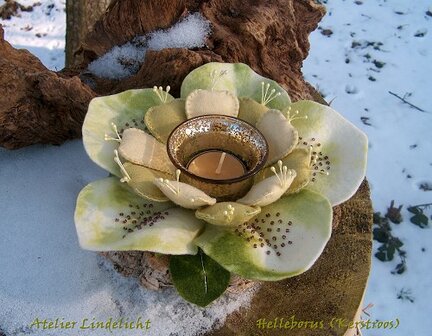 Pakket Waxinelichtje Helleborus ecru/mosgroen