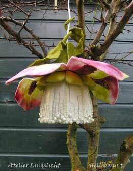 Pakket Seizoenlampje Helleborus