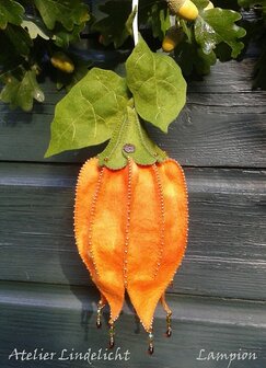 Pakket Seizoenlampje Lampion