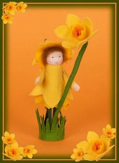 Pakket Narcisknijpertje