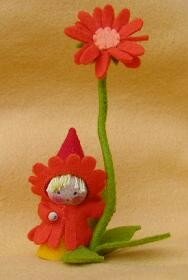 Pakket Goudsbloem