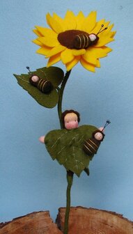 Pakket Zonnebloem met bijtje