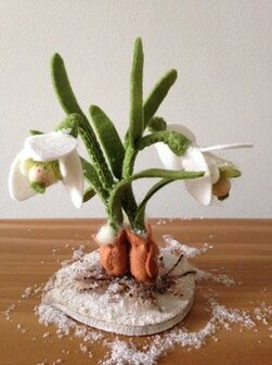 Pakket Sneeuwklokjes kinderen