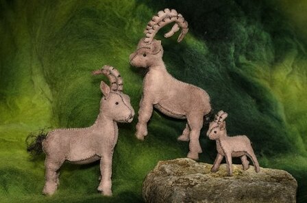 Pakket Steenbok familie