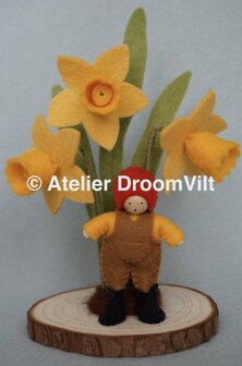 Pakket Een bosje narcissen