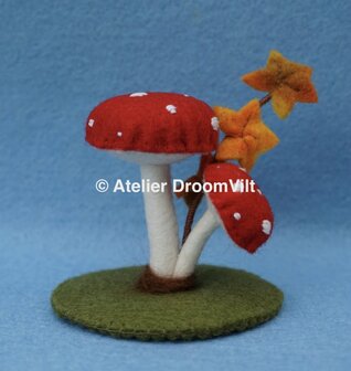 Pakket Paddenstoelen