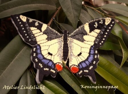 Pakket Vlinder Koninginnepage
