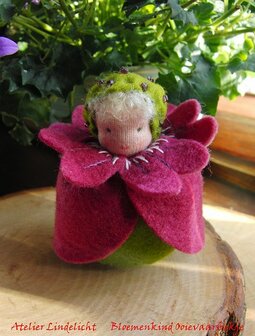 Pakket Bloemenkindje Ooievaarsbek