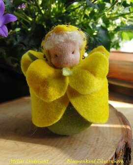 Pakket Bloemenkindje zilverschoon