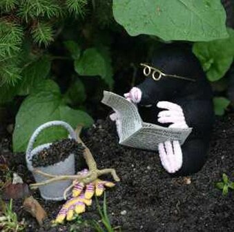 Pakket Herfst tegemoet mol