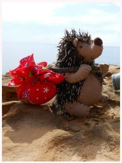 Pakket De herfst tegemoet egel als sleutelhanger