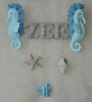 Pakket In de zee