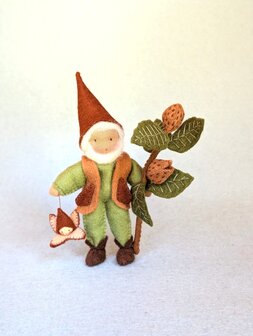 Pakket Beukennootkabouter