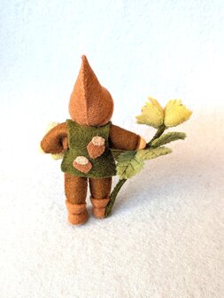 Pakket Hazelnootkabouter