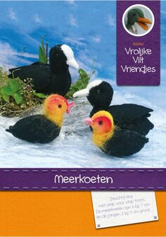 Pakket Meerkoeten