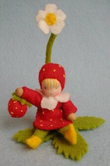 Pakket Aardbeihuisje